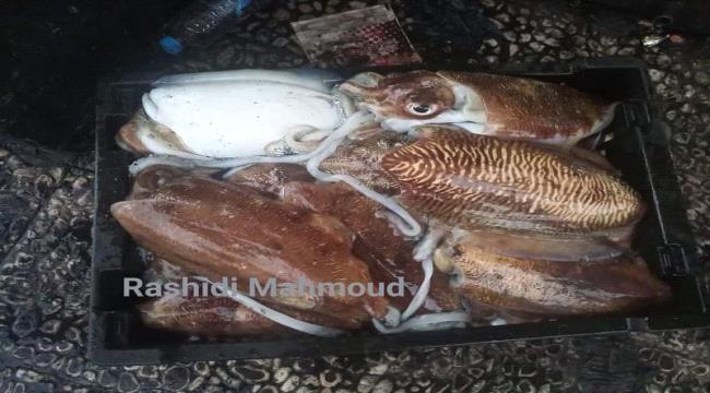 أول سلعة غذائية يهبط سعرها بشكل كبير ومفاجئ في عدن .. يثير غضب واستنكار