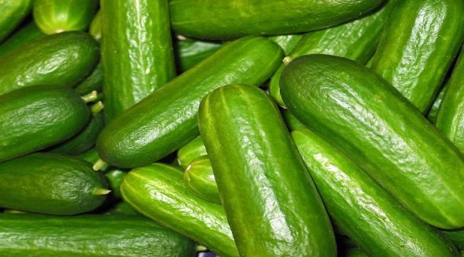 ماذا يحدث لصحتك عند تناول الخيار يومياً؟