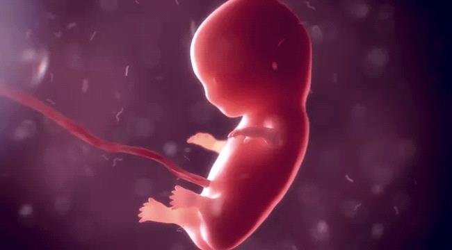 هل يتغير نوع الجنين أثناء الحمل  ؟ 