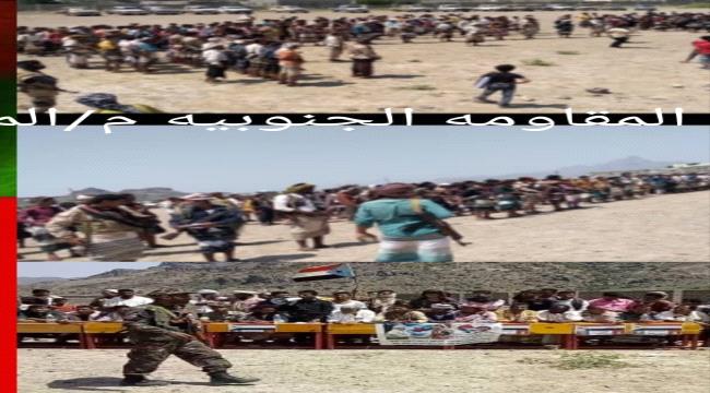 تقرير.. المقاومة الجنوبية في الحواشب قوة الجنوب