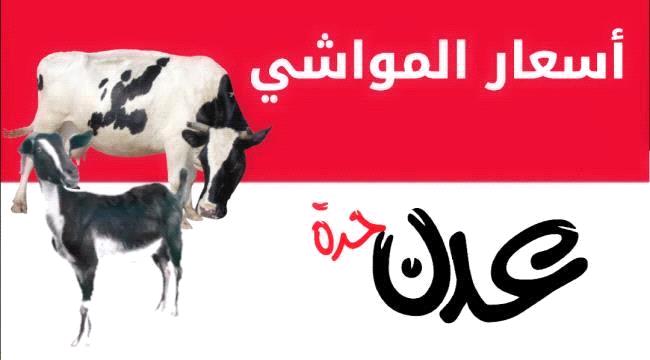 نشرة أسعار المواشي المحلية في عدن اليوم الخميس 4 أغسطس  2022