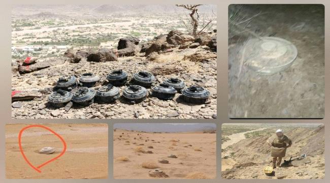 مسام تنزع 1621 لغماً والبرنامج اليمني للتعامل مع الألغام يحذر 