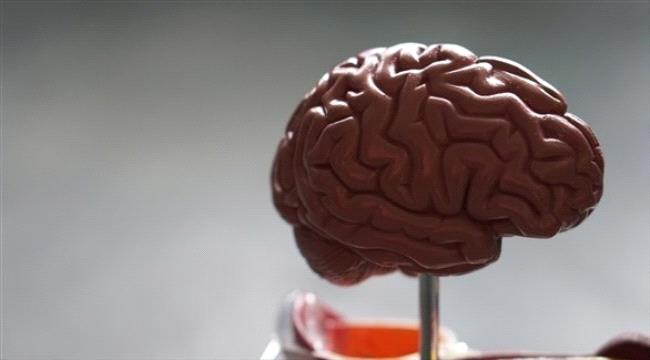 المزيد من فيتامين "د" في الدماغ يبطئ الخرف