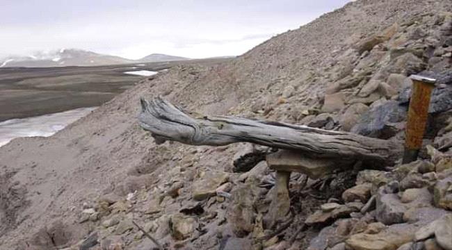 اكتشاف أقدم حمض نووي عمره مليوني عام