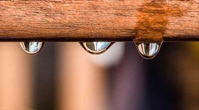 مصدر غير متوقع للطاقة النظيفة بالاعتماد على الخشب والماء فقط