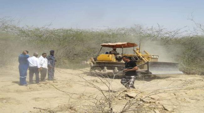 بترومسيلة تزيل أشجار السيسبان من مجاري مياه السيول في وادي زغفة بمديرية الشحر 