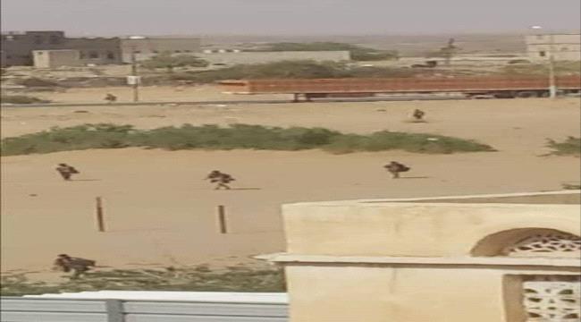 العمالقة يحررون هجر كحلان وطوال السادة ويدخلون النقوب