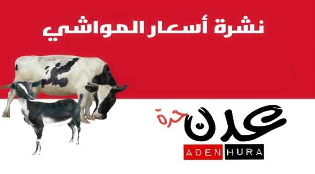 نشره اسعار المواشي المحليه اليوم في عدن