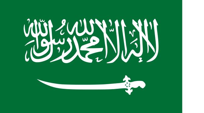 السعودية تدين الهجوم الارهابي الحوثي على مطار ابوظبي 