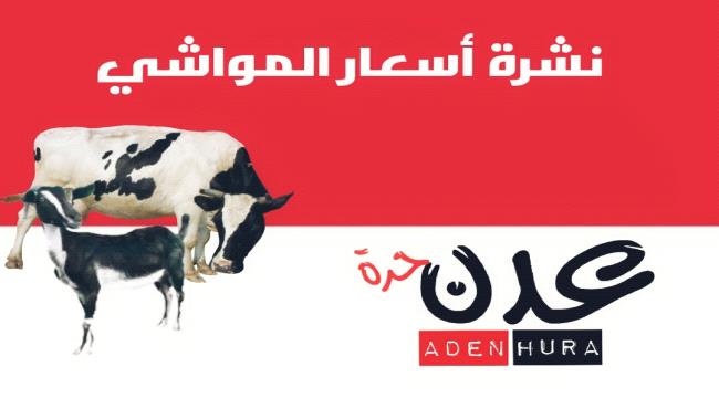 نشرة اسعار المواشي المحلية اليوم الأحد في عدن