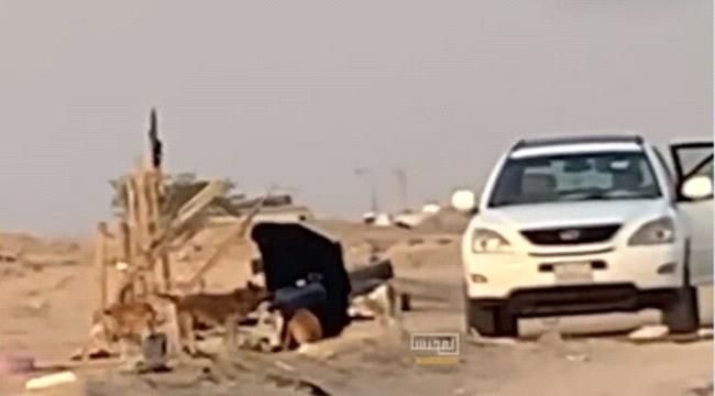 ما قصة المرأة الكويتية التي تطعم وتسقي الكلاب في البر ؟ 