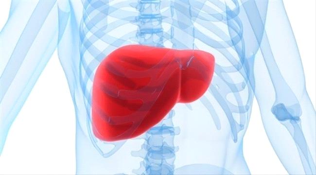 دراسة تكشف كيف يؤثر النوم على الكبد الدهني