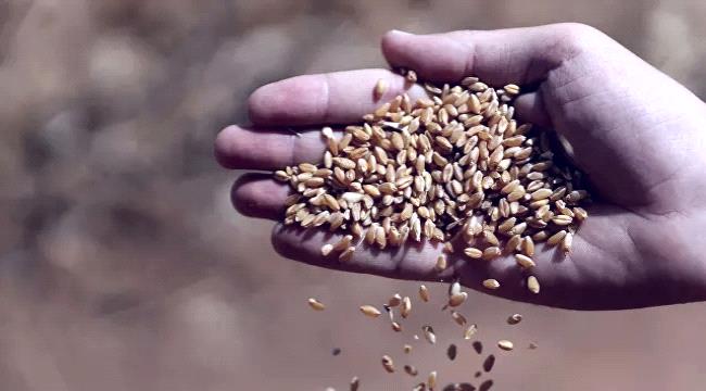روسيا تعلن قائمة طويلة من المواد المحظور تصديرها