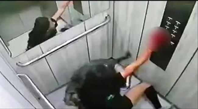 كلب يهاجم صاحبته بوحشية وكاميرا المصعد ترصد الجريمة المروعة
