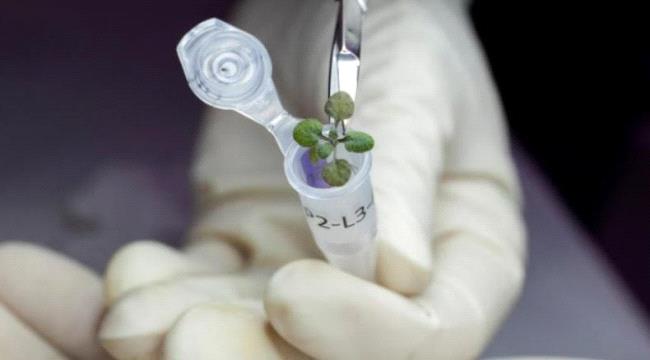 إنجاز علمي غير مسبوق.. نباتات الأرض تنمو في تربة القمر