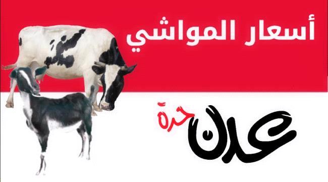 نشرة اسعار المواشي المحلية في عدن الثلاثاء 31 مايو 2022