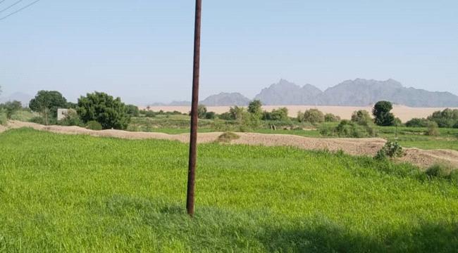 أشهر أنواع الخبز في الحوطة وتبن ”الكدر والمخلم“