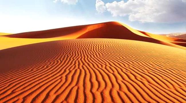مادة جديدة تحول رمال الصحراء إلى تربة خصبة في 7 ساعات