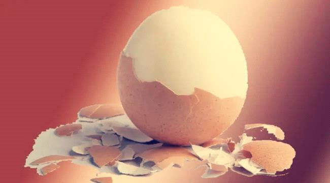 البيض والسكتة الدماغية”.. دراسة جديدة تفجر مفاجأة وتكشف نتيجة صادمة