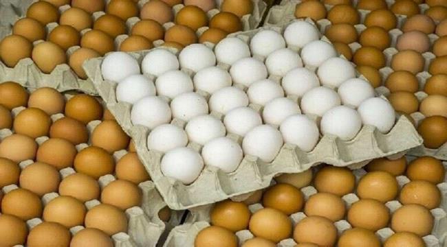 البيض والقهوة.. كم الجرعة المسموحة في اليوم؟ 