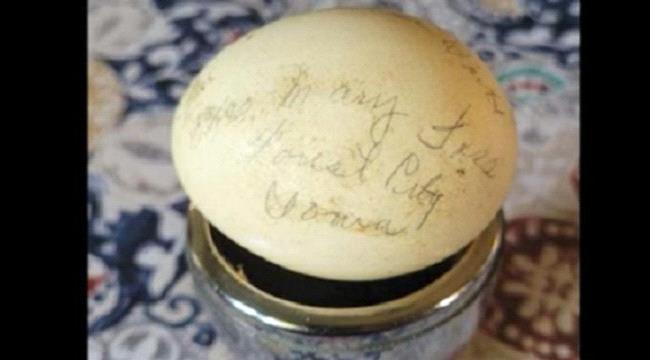 بيضة عمرها 70 عام ظلت سليمة دون تشقق