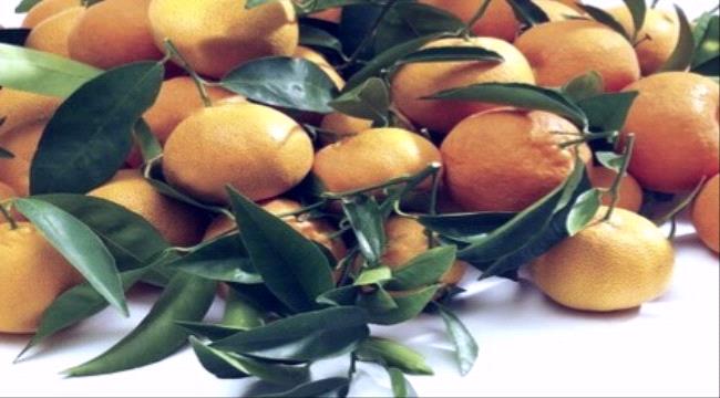 لا تكثر من تناول «اليوسفي» لهذا السبب.. تحذير!