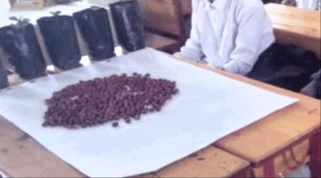 تحديد موعد جديد لإقامة المعرض الوطني الأول لـ«البن»