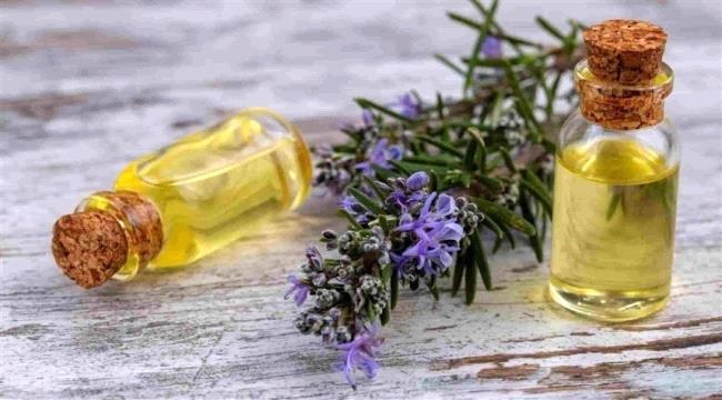 زيت الروزماري.. إكسير صحة وجمال الشعر
