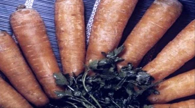فوائد سحرية غير متوقعة لـ«الجزر»