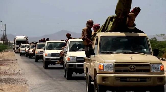 حملة أمنية تشهدها محافظة شبوة 