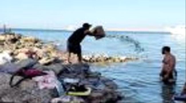 الأمن المصري يضبط 3 أشخاص عذبوا قطة