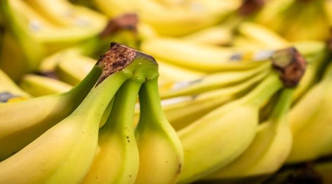 الموز.. فوائد غير معروفة