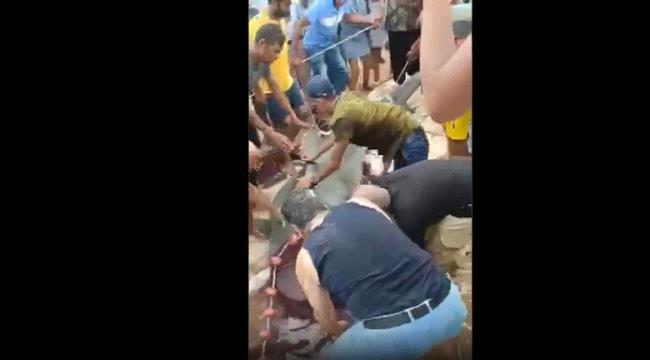شاهد لحظة اصطياد سمكة قرش التهمت "سائحا روسيا" في مصر