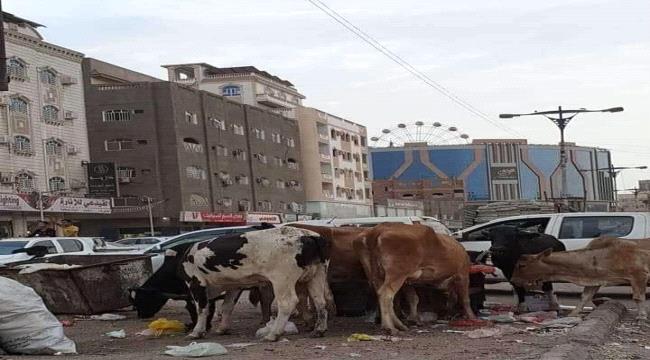 هل انتهت الأزمة بين الحكومة اليمنية وسلطات عدن؟