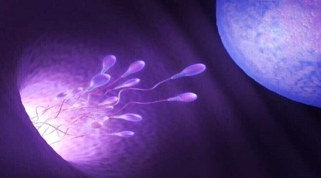الخصوبة.. اكتشاف واعد لاختيار الحيوانات المنوية الأفضل "تناسلا"
