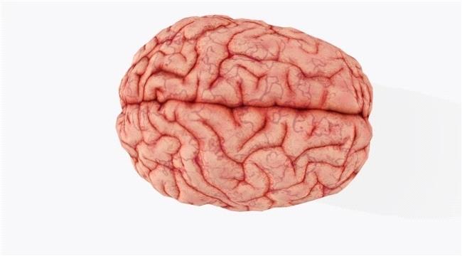 وفاة شخص في فلوريدا بأميبا تلتهم الدماغ