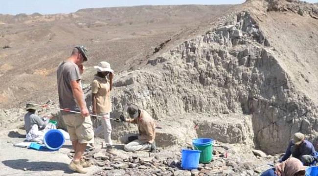 اكتشاف عمره 3 ملايين عام قد يعيد كتابة تاريخ الحياة على الأرض