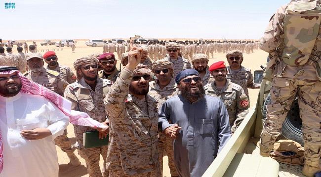 التحالف في حضرة « درع الوطن »