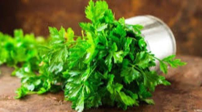أبرز فوائد البقدونس للجسم