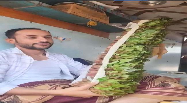 شاهد.. بيع ربطة قات بـ