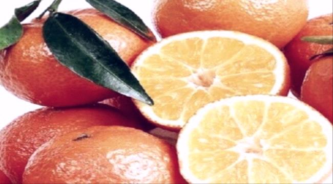 العسل والحمضيات.. كم الكمية الآمنة في اليوم؟