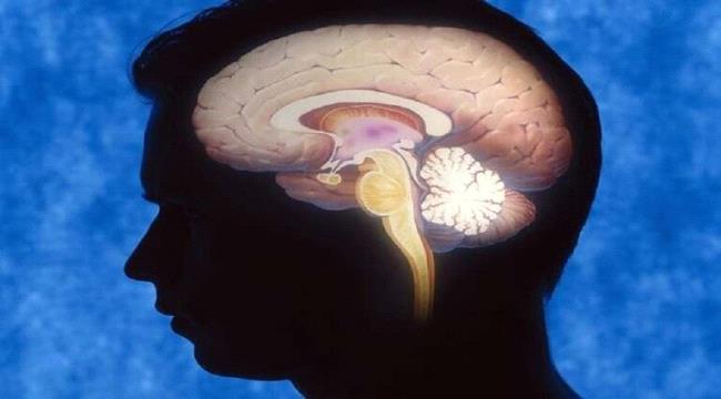 مواد ذو فوائد "سحرية" تنشط الدماغ