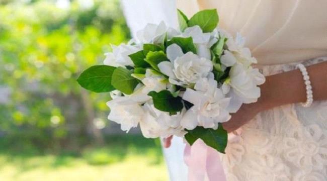 تفاصيل حفل زفاف من طرف واحد.. عروسة من غير عريس