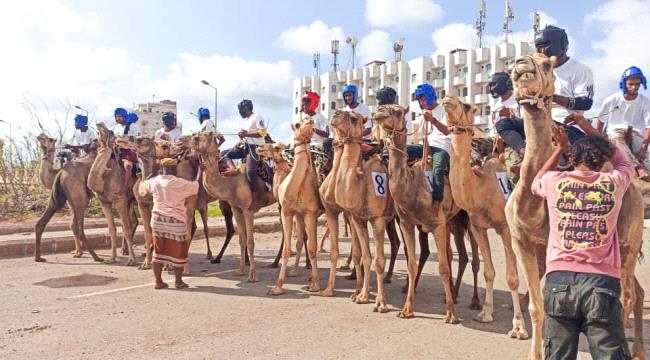 اتحاد الفروسية يقيم سباق الهجن الثالث في العاصمة عدن