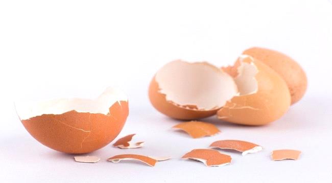 قشر البيض.. فوائد مذهلة غير متوقعة