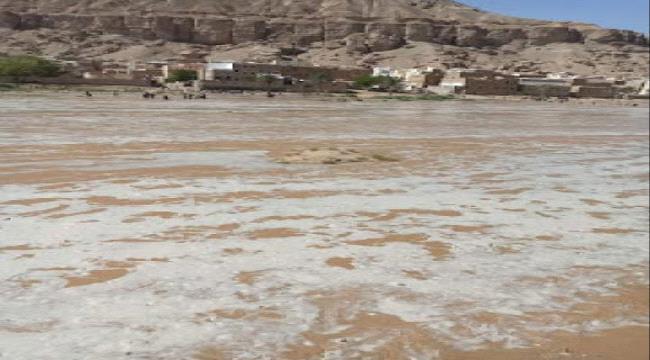 الساعات القادمة.. اليمن على موعد مع أمطار غزيرة 