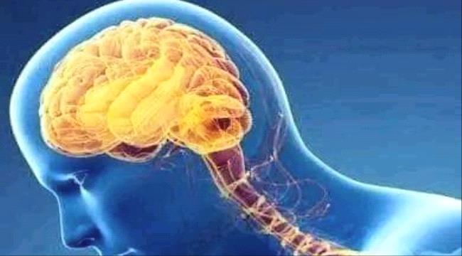 حقائق مهمة عن "المخ" ومعلومات "خاطئة" يظنها الكثيرون "صحيحة"