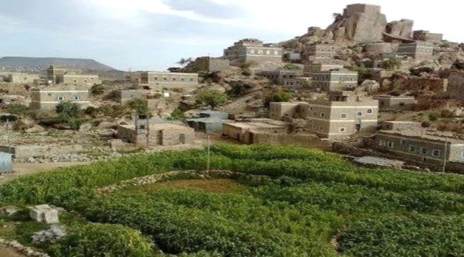 بعشرين طعنة.. أب بقتل ابنه في الحد بيافع والأمن يلقي القبض على الجاني