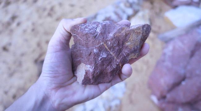 شاب عشريني "مضطرب" يقتل والدته بطريقة وحشية