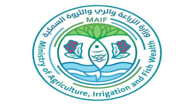 وزارة الزراعة تنفي وقف تصدير البصل وتؤكد استمرار الجهود لدعم المزارعين والتصدير